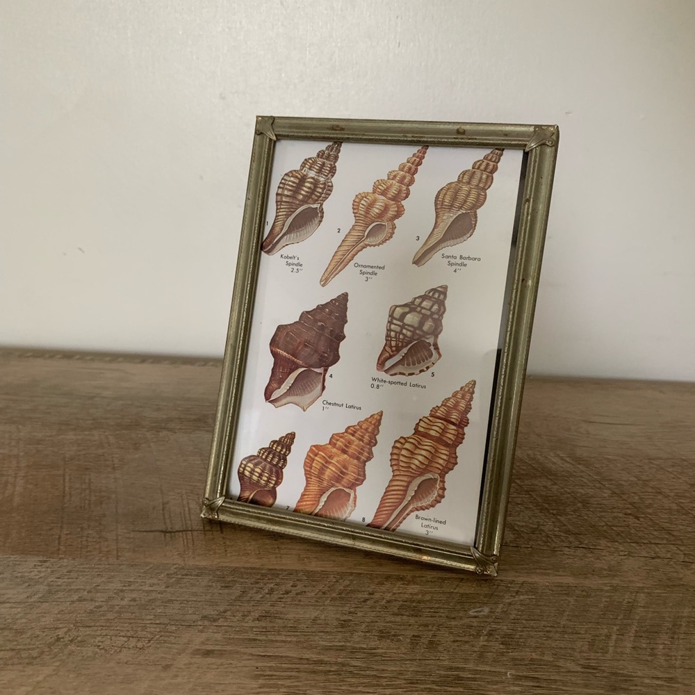 Vintage Gold Picture Frame with Seashell Art